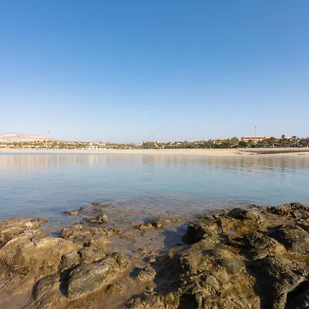 Appartement Home2book Cozy Duplex, Terrace & Pool, Caleta